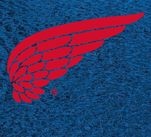 RED WING PPE